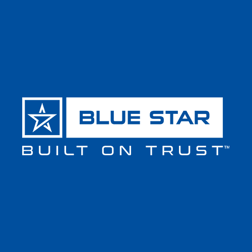 Blue Star RO service