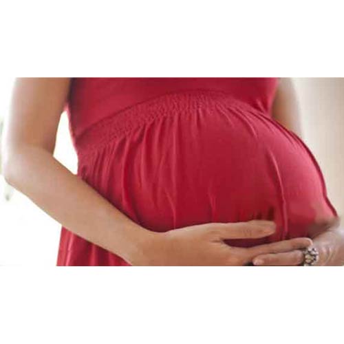 Torch All Ten - 10 Parameters Covered