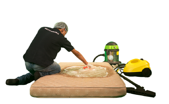 MATTRESS CLEANING SERVICES