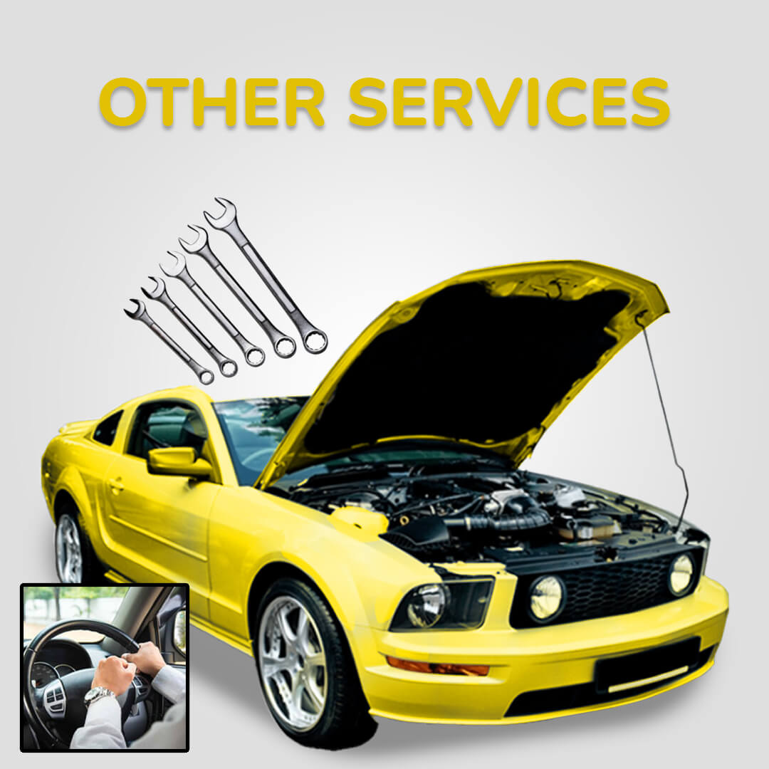 Horn Issues Inspection or Replacement