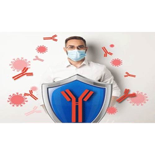 Covid Antibody Igg - Elisa