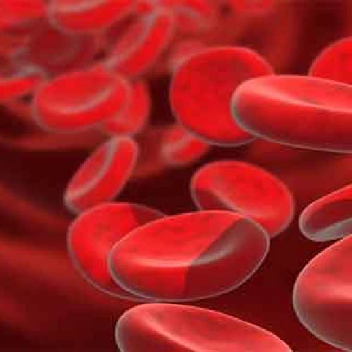Anemia Profile - Basic - 59 Parameters Covered