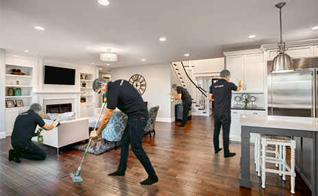 PROFESSIONAL HOME CLEANING SERVICES