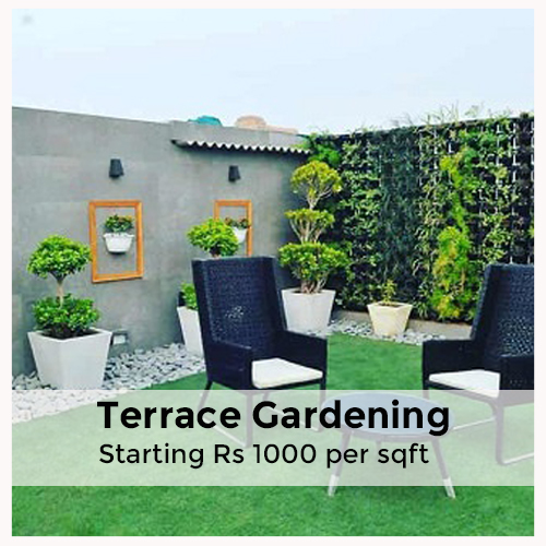 Terrace Gardening (Starting from Rs 1000 per sqft)