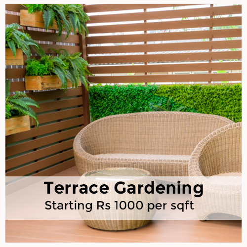 Terrace Gardening (Starting from Rs 1000 per sqft)