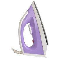 Electric Iron Orchid